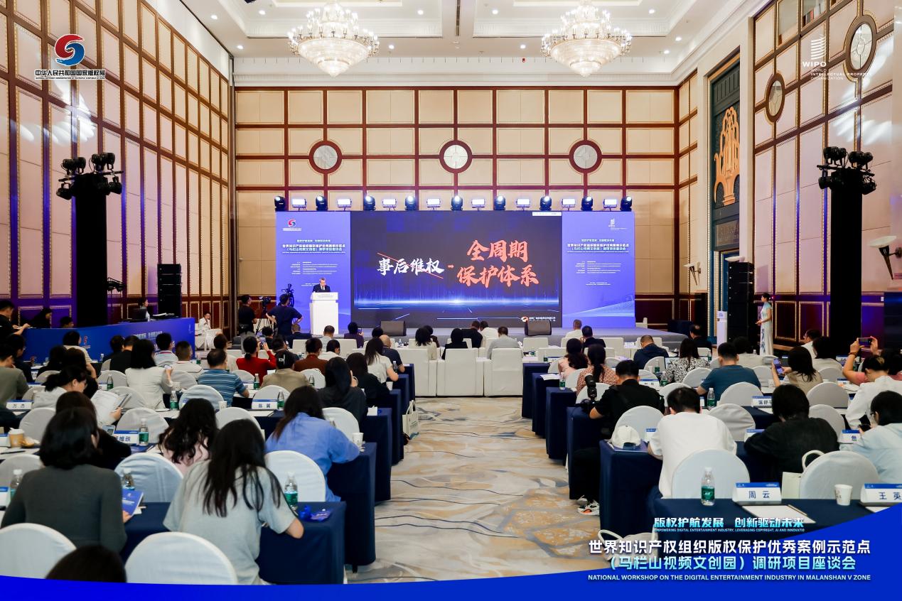 世界知识产权组织版权保护优秀案例示范点(马栏山视频文创园)项